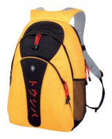 Toshiba Backpack
