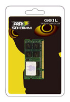 Geil GS31GB1066C7SC