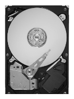 Seagate ST1000DL002
