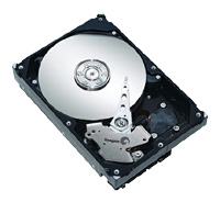 Seagate ST31000333AS