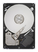 Seagate ST31000524AS