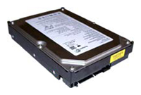 Seagate ST31200827AS