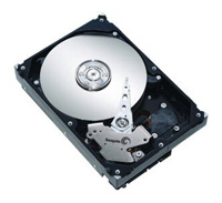 Seagate ST3120211AS