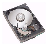 Seagate ST31600827AS