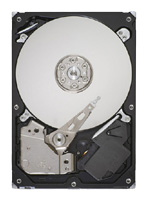 Seagate ST3160318AS