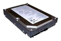 Seagate ST3160823AS