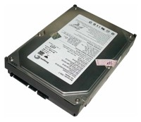 Seagate ST3200822AS
