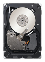Seagate ST3300557SS