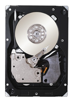 Seagate ST3300656SS