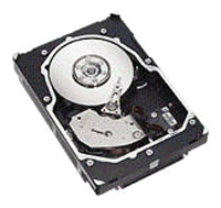Seagate ST336754SS
