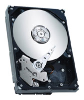 Seagate ST3400633AS