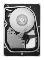 Seagate ST3450802SS