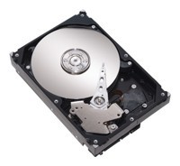 Seagate ST3500841AS
