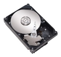 Seagate ST3808110AS