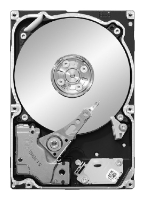 Seagate ST91000640SS