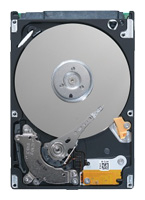 Seagate ST9100821AS