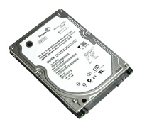 Seagate ST9120821AS