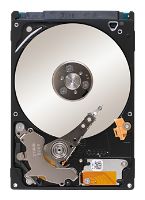 Seagate ST91603010AS