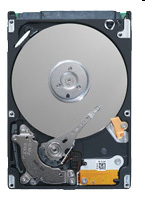 Seagate ST9160314AS