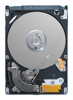 Seagate ST9250315AS