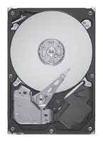 Seagate ST9300505SS