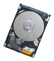 Seagate ST9320320AS