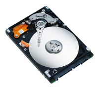 Seagate ST980811AS