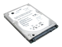 Seagate ST980825AS
