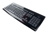 Fujitsu-Siemens Keyboard Slim Piano Black USB