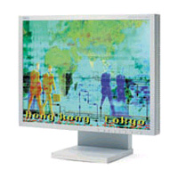 NEC MultiSync LCD1980SX